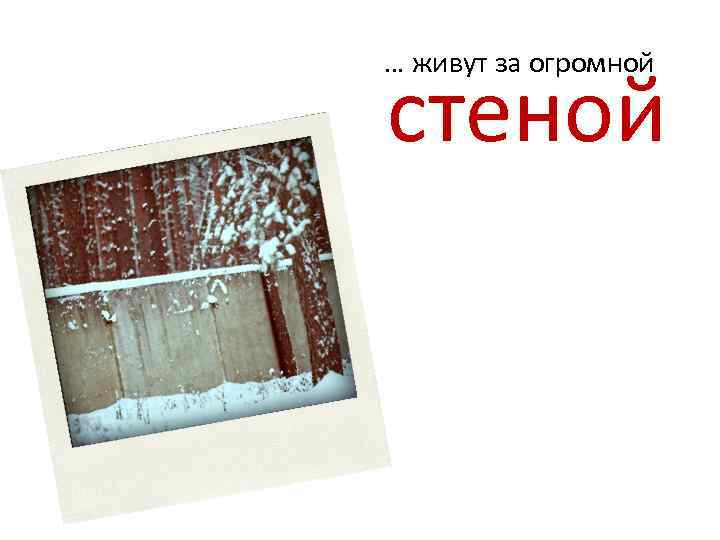 … живут за огромной стеной 