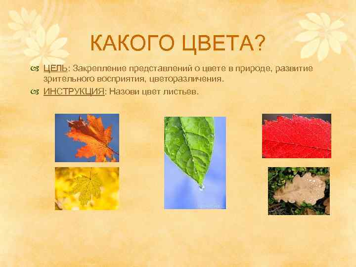 КАКОГО ЦВЕТА? ЦЕЛЬ: Закрепление представлений о цвете в природе, развитие зрительного восприятия, цветоразличения. ИНСТРУКЦИЯ: