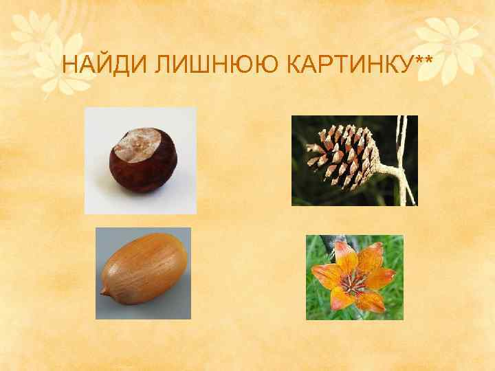 НАЙДИ ЛИШНЮЮ КАРТИНКУ** 