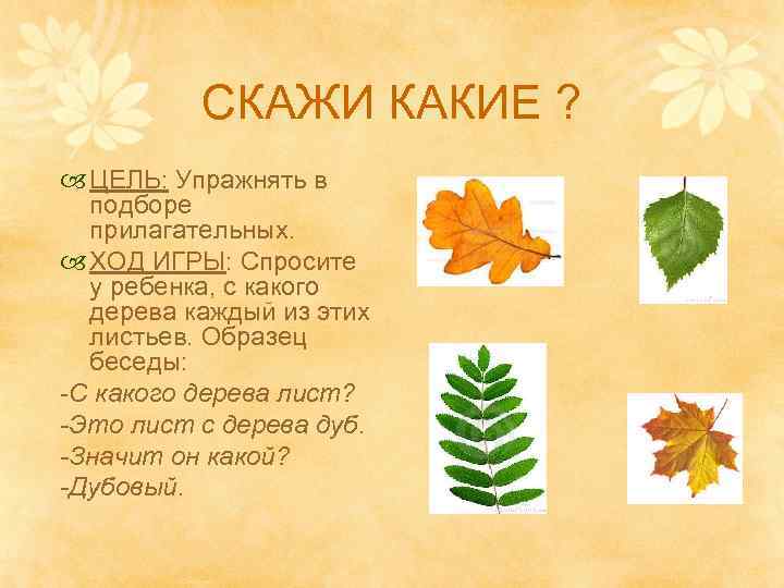 СКАЖИ КАКИЕ ? ЦЕЛЬ: Упражнять в подборе прилагательных. ХОД ИГРЫ: Спросите у ребенка, с