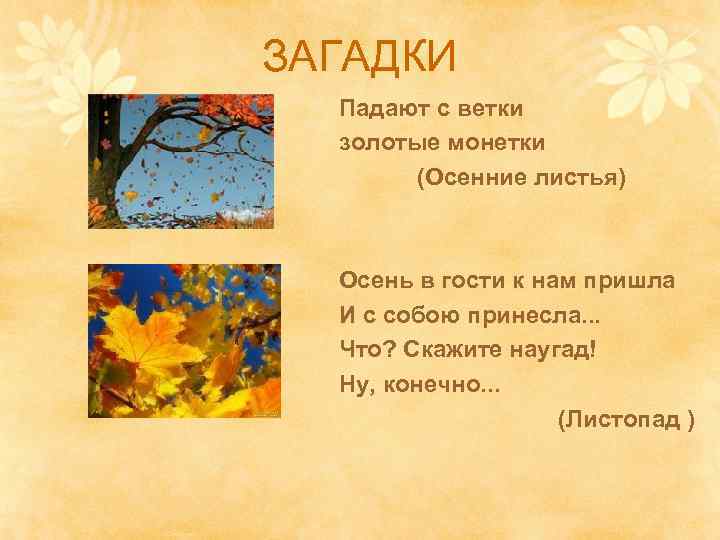 ЗАГАДКИ Падают с ветки золотые монетки (Осенние листья) Осень в гости к нам пришла