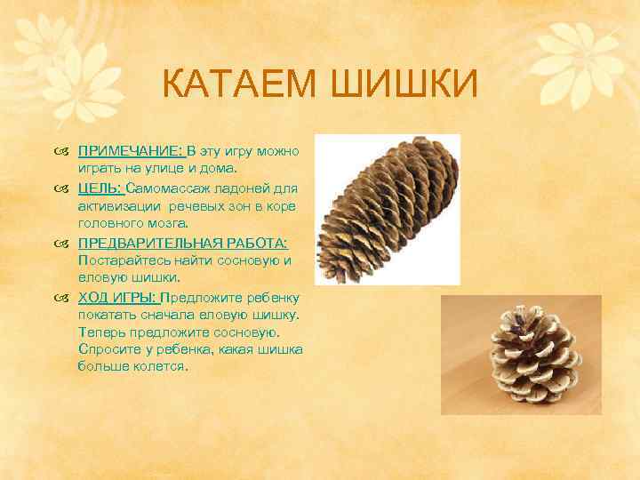 КАТАЕМ ШИШКИ ПРИМЕЧАНИЕ: В эту игру можно играть на улице и дома. ЦЕЛЬ: Самомассаж