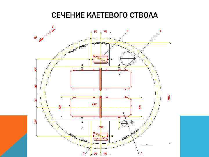 СЕЧЕНИЕ КЛЕТЕВОГО СТВОЛА 