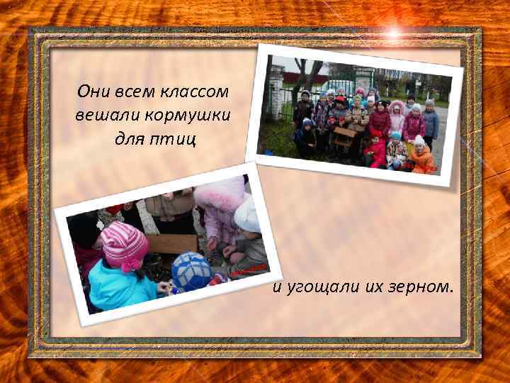 Они всем классом вешали кормушки для птиц и угощали их зерном. 