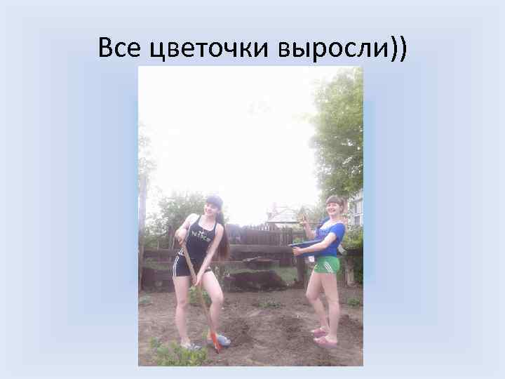 Все цветочки выросли)) 