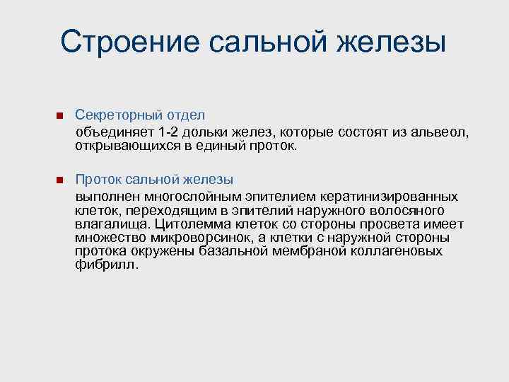 Строение сальной железы n Секреторный отдел объединяет 1 -2 дольки желез, которые состоят из