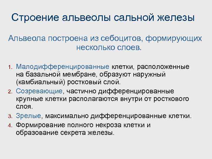 Строение альвеолы сальной железы Альвеола построена из себоцитов, формирующих несколько слоев. 1. 2. 3.