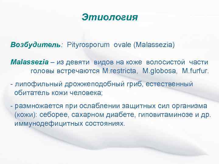 Этиология Возбудитель: Pityrosporum ovale (Malassezia) Malassezia – из девяти видов на коже волосистой части