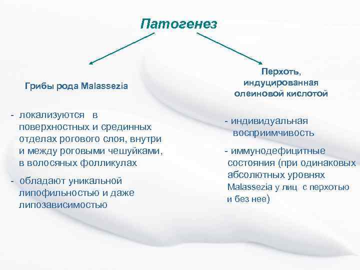 Патогенез Грибы рода Malassezia - локализуются в поверхностных и срединных отделах рогового слоя, внутри