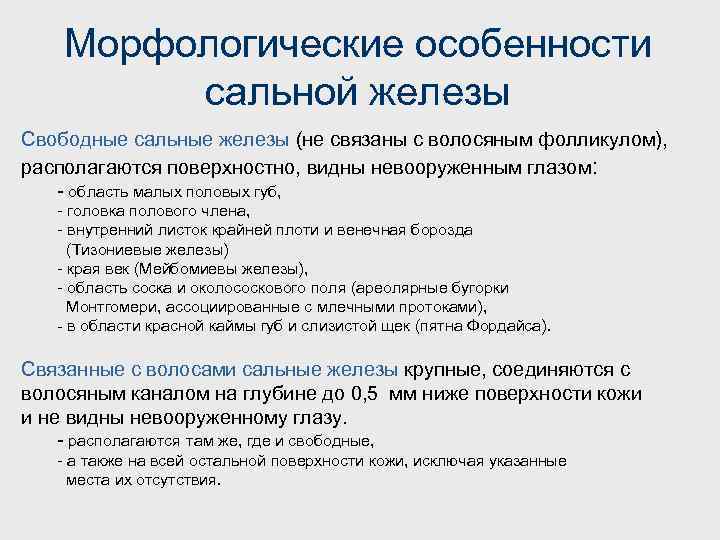 Морфологические особенности сальной железы Свободные сальные железы (не связаны с волосяным фолликулом), располагаются поверхностно,