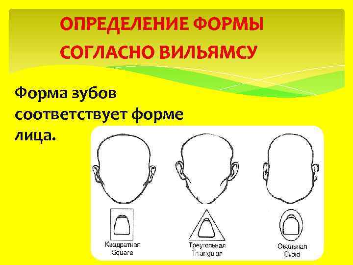  ОПРЕДЕЛЕНИЕ ФОРМЫ СОГЛАСНО ВИЛЬЯМСУ Форма зубов соответствует форме лица. 