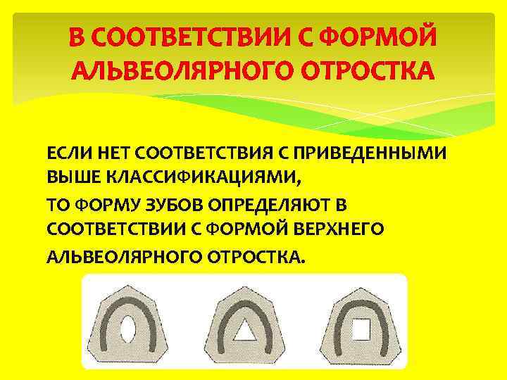 В СООТВЕТСТВИИ С ФОРМОЙ АЛЬВЕОЛЯРНОГО ОТРОСТКА ЕСЛИ НЕТ СООТВЕТСТВИЯ С ПРИВЕДЕННЫМИ ВЫШЕ КЛАССИФИКАЦИЯМИ, ТО