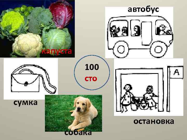 автобус капуста 100 сто сумка собака остановка 