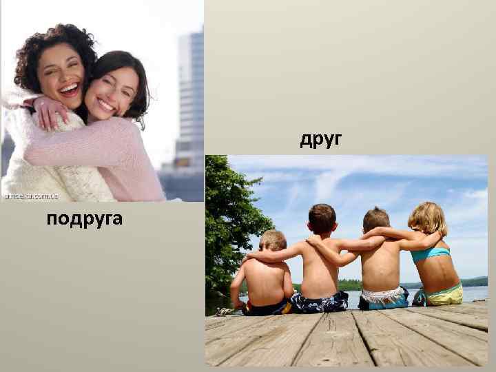 друг подруга 