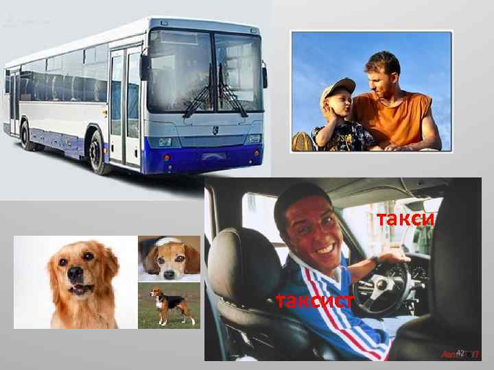 таксист 42 