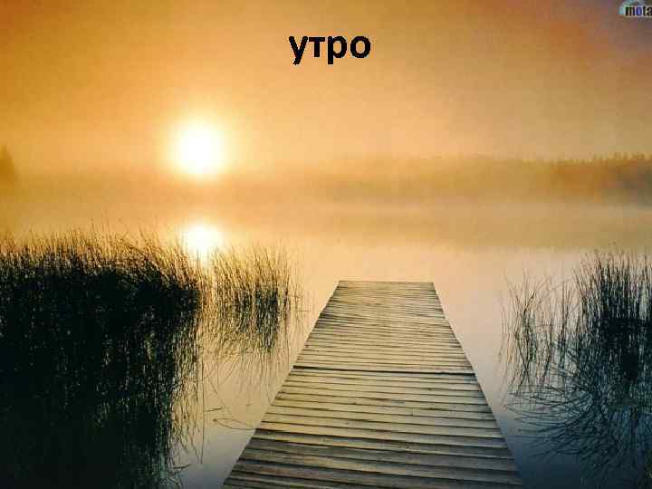 утро 