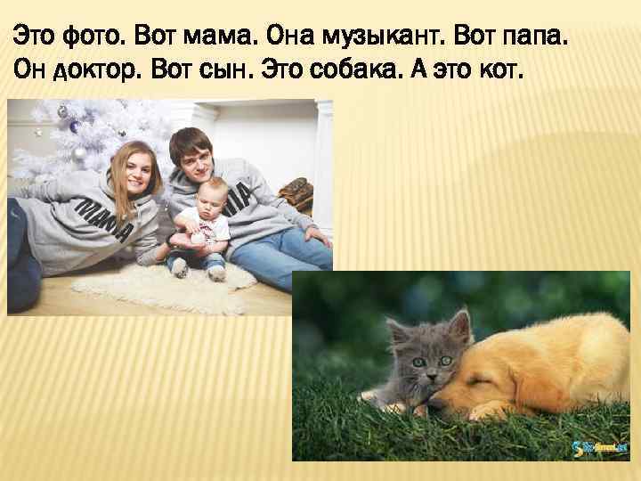 Это фото. Вот мама. Она музыкант. Вот папа. Он доктор. Вот сын. Это собака.