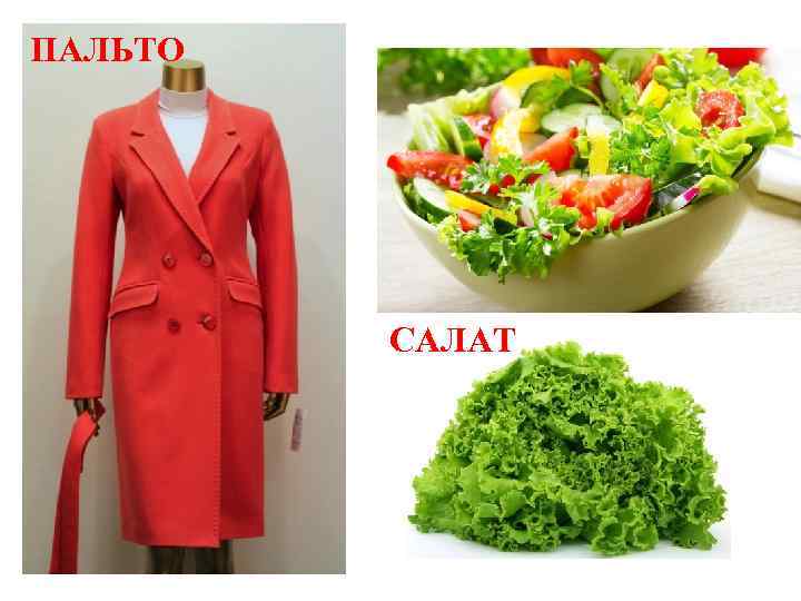 ПАЛЬТО САЛАТ 