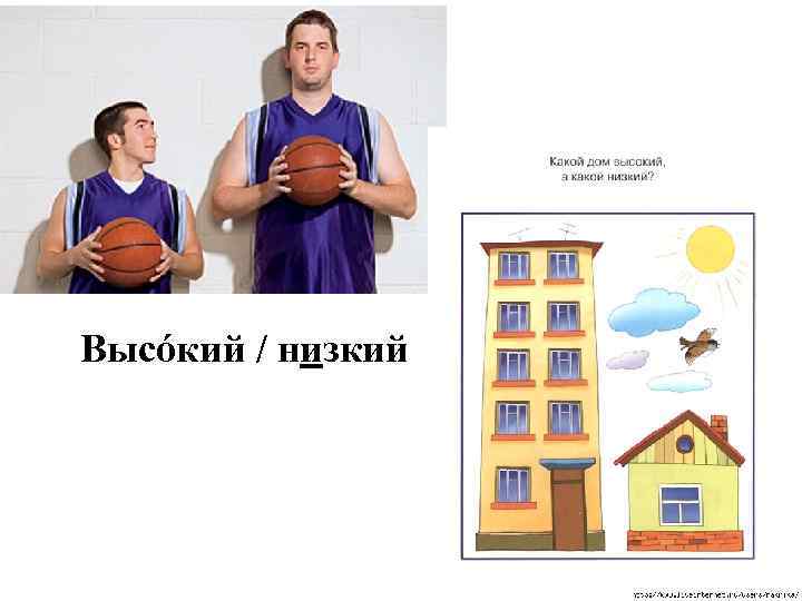 Высóкий / низкий 