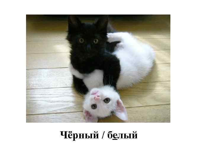 Чёрный / белый 