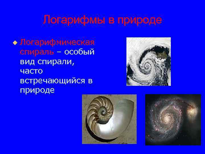 Логарифмы в природе u Логарифмическая спираль – особый вид спирали, часто встречающийся в природе