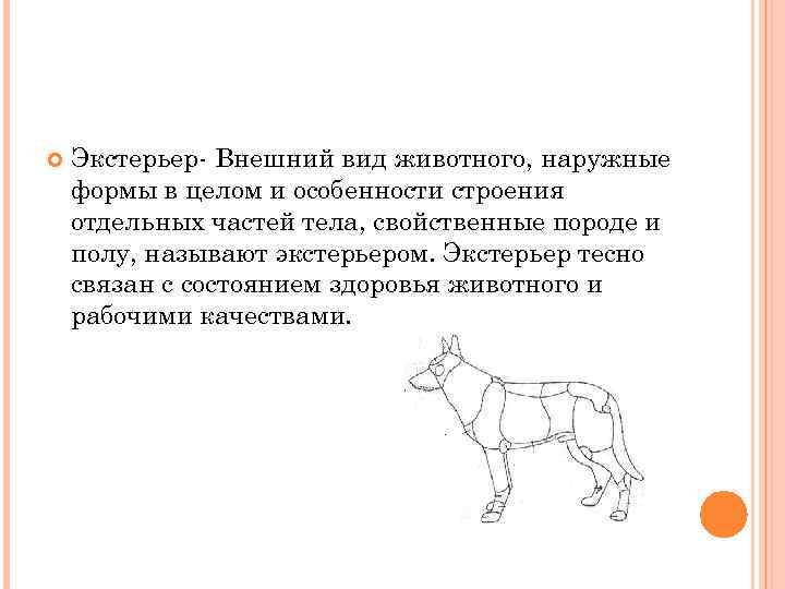  Экстерьер- Внешний вид животного, наружные формы в целом и особенности строения отдельных частей
