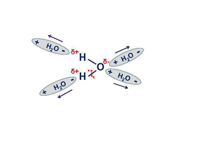 + H 2 O - δ+ H δ+ + H 2 O - H