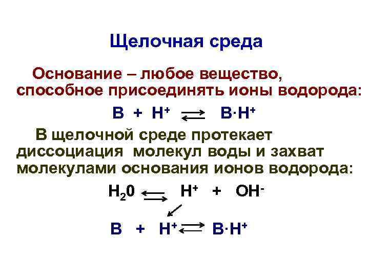 Щелочная среда Основание – любое вещество, способное присоединять ионы водорода: В + Н+ В·Н+