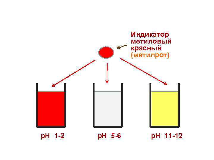 Индикатор метиловый красный (метилрот) р. Н 1 -2 р. Н 5 -6 р. Н