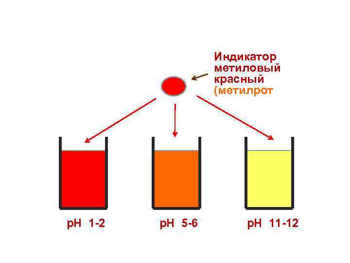 Индикатор метиловый красный (метилрот р. Н 1 -2 р. Н 5 -6 р. Н