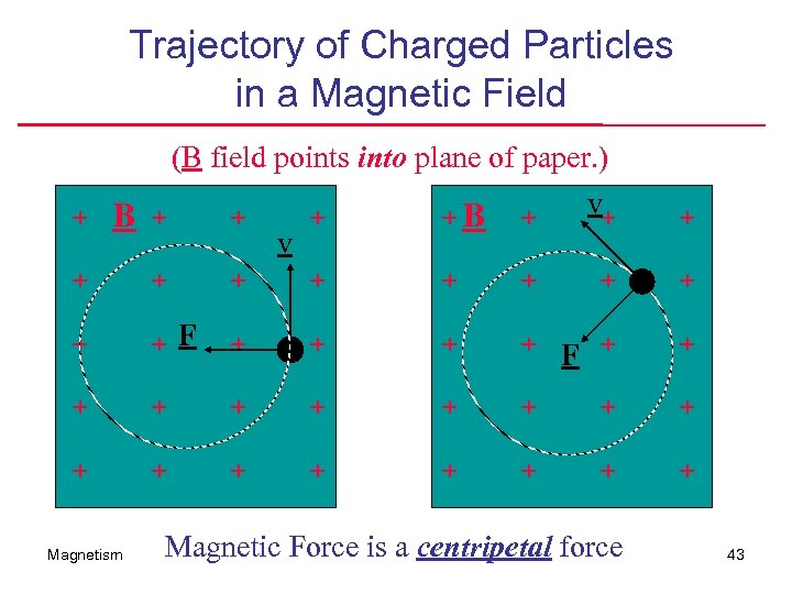 Trajectory of Charged Particles in a Magnetic Field (B field points into plane of