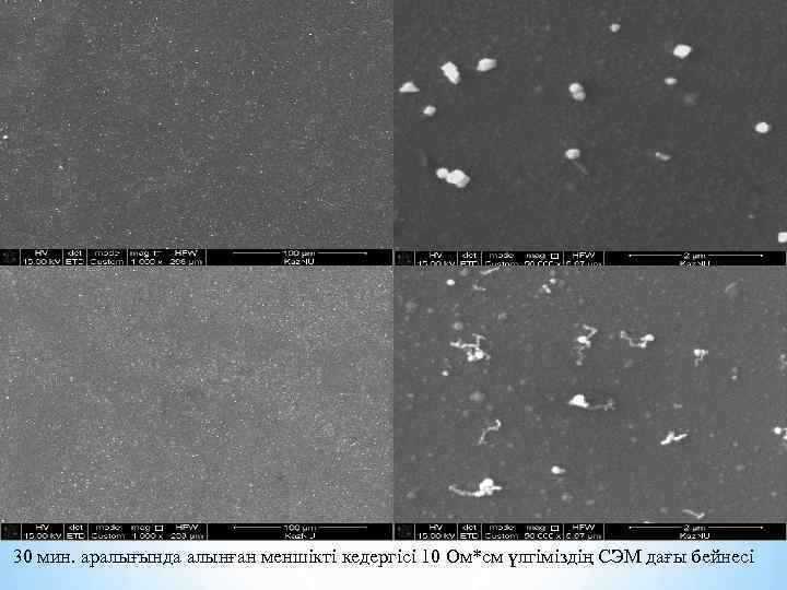 30 мин. аралығында алынған меншікті кедергісі 10 Ом*см үлгіміздің СЭМ дағы бейнесі 