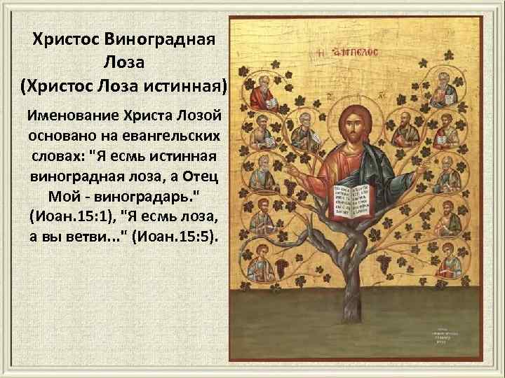 Христос Виноградная Лоза (Христос Лоза истинная) Именование Христа Лозой основано на евангельских словах: "Я