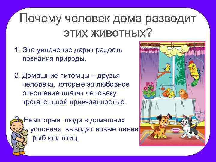 Почему человек дома разводит этих животных? 1. Это увлечение дарит радость познания природы. 2.