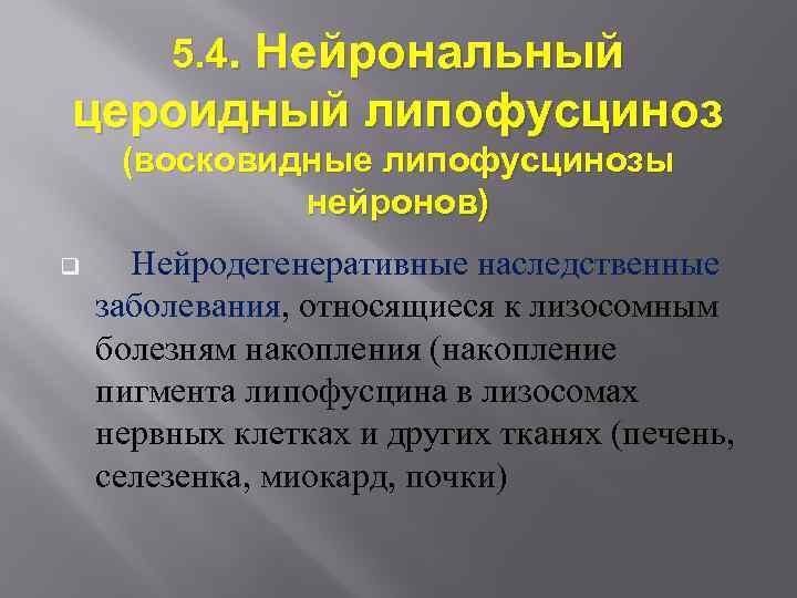 5. 4. Нейрональный цероидный липофусциноз (восковидные липофусцинозы нейронов) q Нейродегенеративные наследственные заболевания, относящиеся к