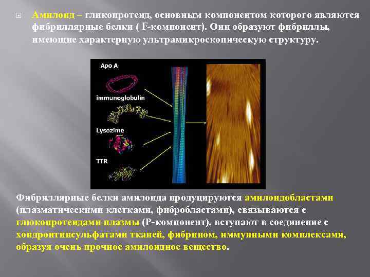  Амилоид – гликопротеид, основным компонентом которого являются фибриллярные белки ( F-компонент). Они образуют