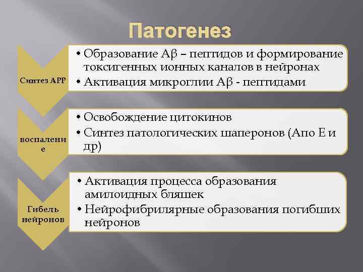 Патогенез Синтез АРР воспалени е Гибель нейронов • Образование Аβ – пептидов и формирование