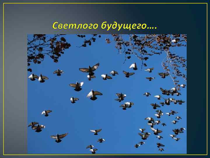 Светлого будущего…. 