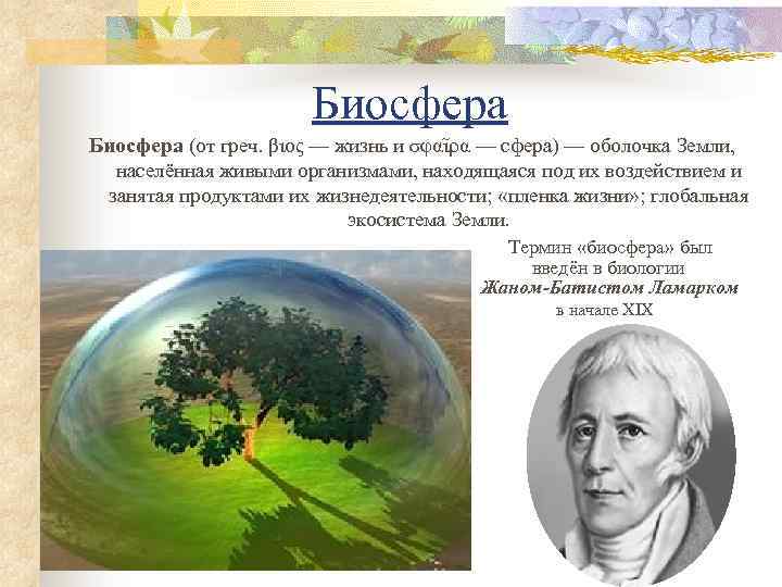  Биосфера (от греч. βιος — жизнь и σφαῖρα — сфера) — оболочка Земли,