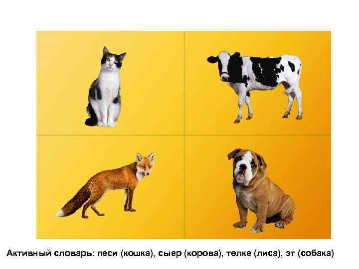 Активный словарь: песи (кошка), сыер (корова), тѳлке (лиса), эт (собака) 