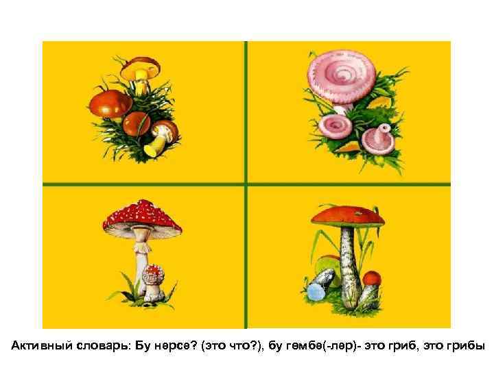 Активный словарь: Бу нәрсә? (это что? ), бу гѳмбә(-ләр)- это гриб, это грибы 