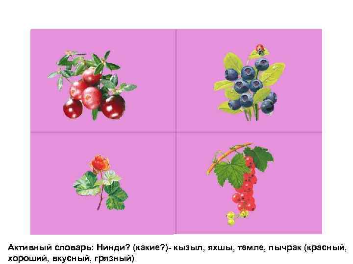 Активный словарь: Нинди? (какие? )- кызыл, яхшы, тәмле, пычрак (красный, хороший, вкусный, грязный) 