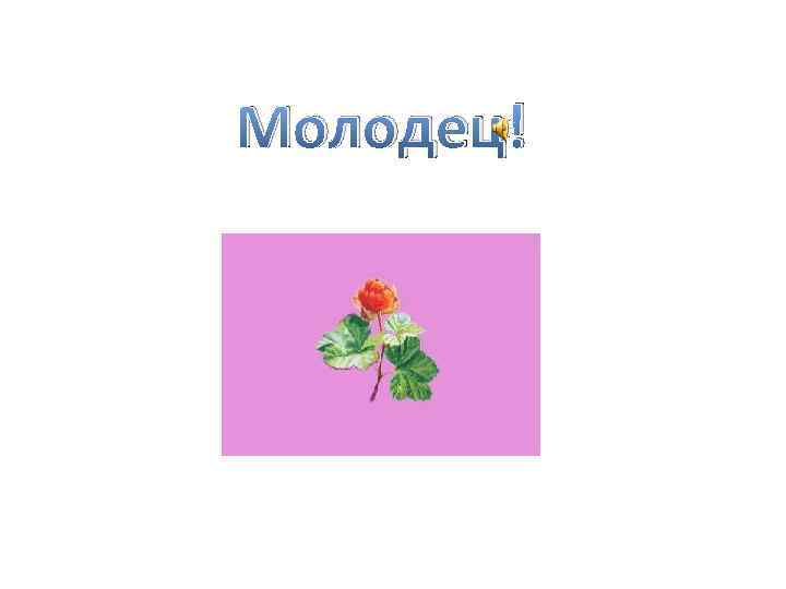 Молодец! 