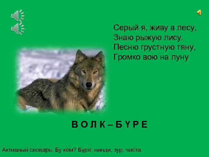 Серый я, живу в лесу, Знаю рыжую лису. Песню грустную тяну, Громко вою на