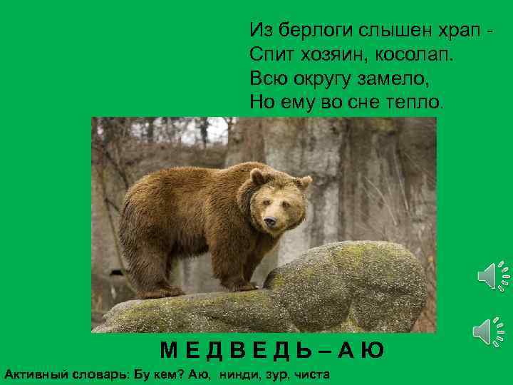 Из берлоги слышен храп Спит хозяин, косолап. Всю округу замело, Но ему во сне