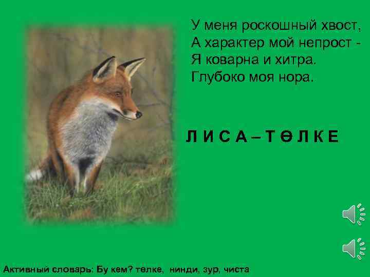 У меня роскошный хвост, А характер мой непрост Я коварна и хитра. Глубоко моя