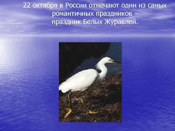 22 октября в России отмечают один из самых романтичных праздников – праздник Белых Журавлей.