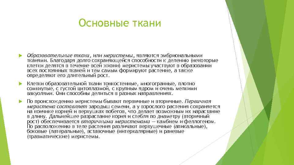 Основные ткани Образовательные ткани, или меристемы, являются эмбриональными тканями. Благодаря долго сохраняющейся способности к