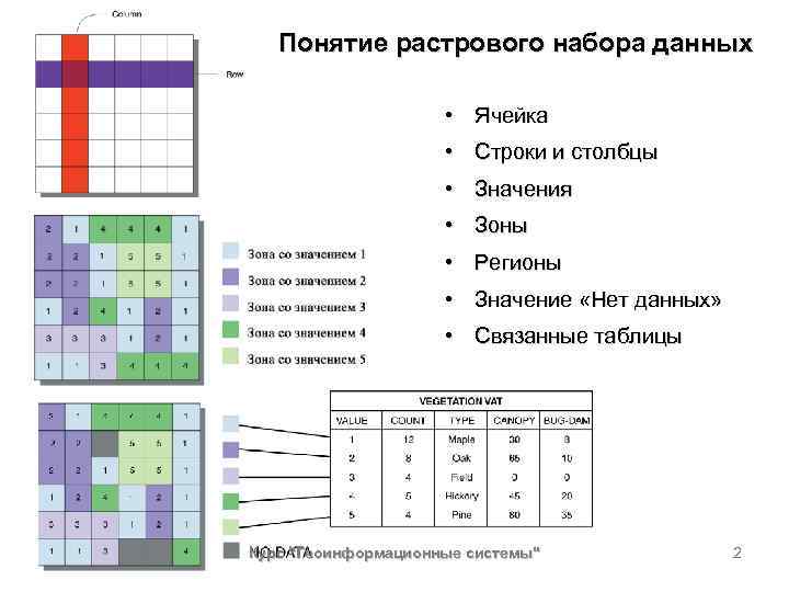 Понятие растрового набора данных • Ячейка • Строки и столбцы • Значения • Зоны