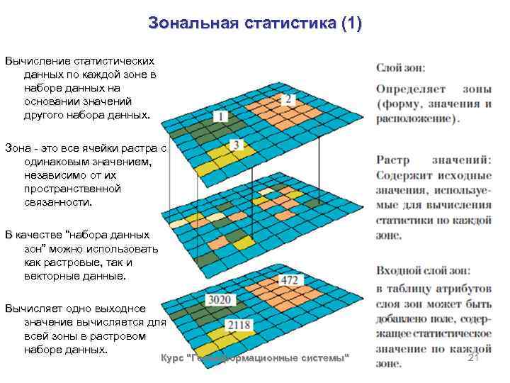 Зональный это. Зональные матрасы. Зональный. Зональный поперечный блок. Рыночная (зональная структура).